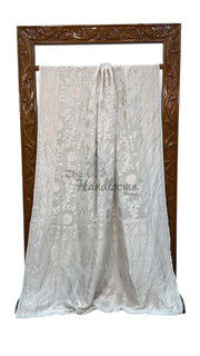Pure Georgette Banarasi Saree - silver zari - The Handlooms