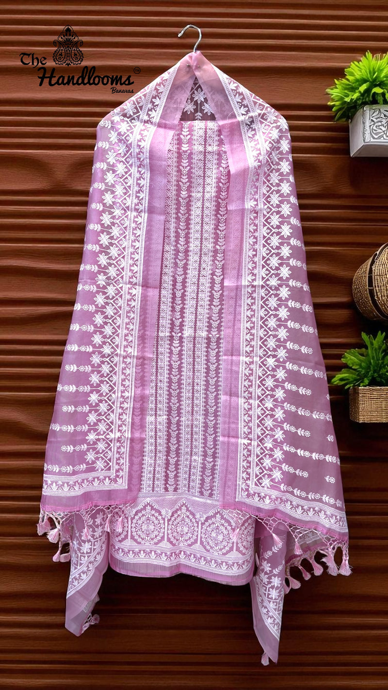 Pure Organza Chikankari Handloom Banarasi Dress - The Handlooms