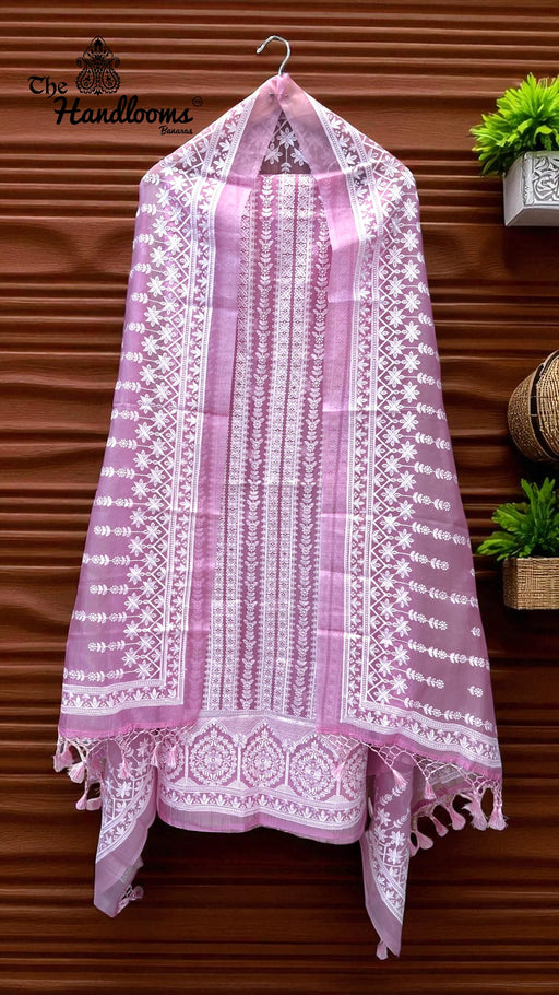 Pure Organza Chikankari Handloom Banarasi Dress - The Handlooms