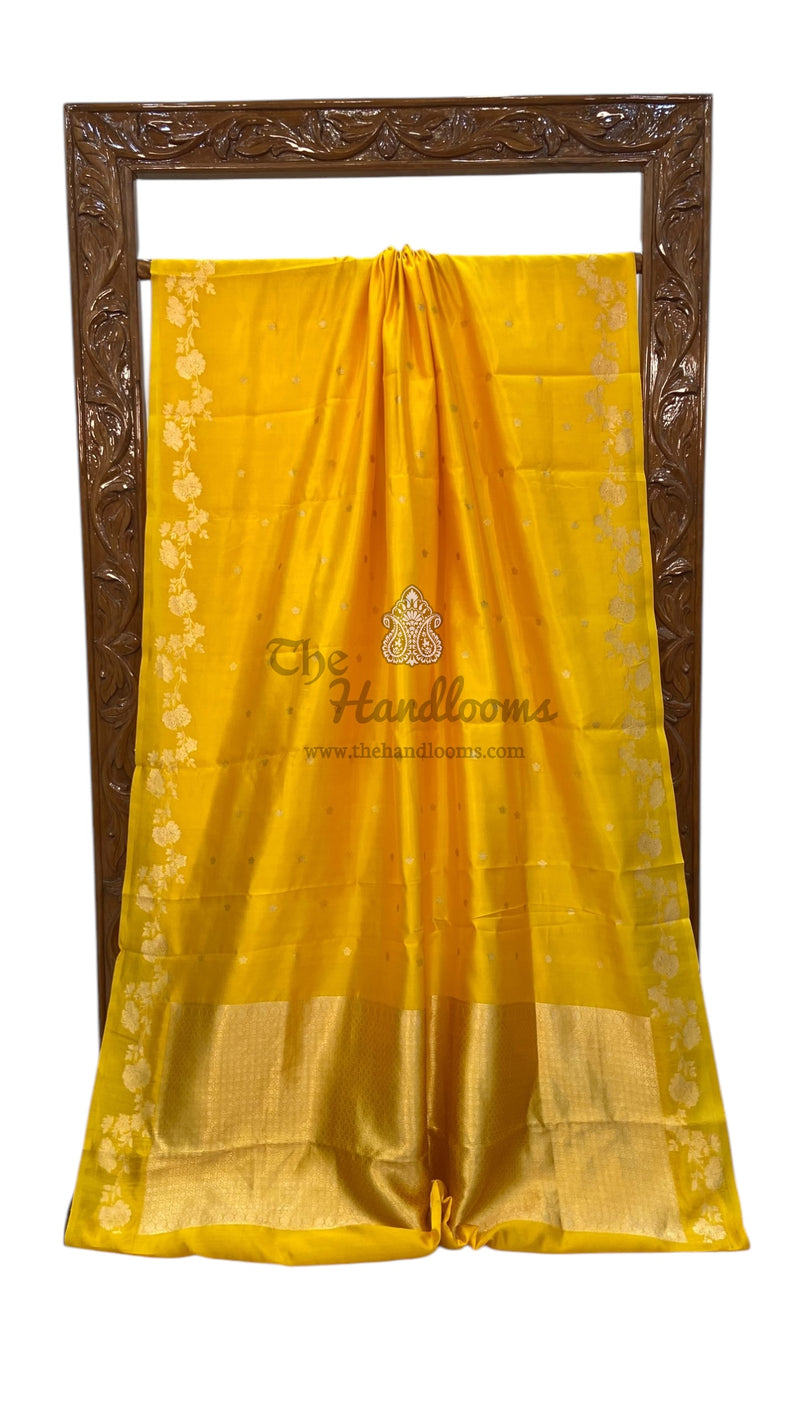 Pure Katan Silk Banarasi Handloom Saree - All over Kadua motifs - The Handlooms