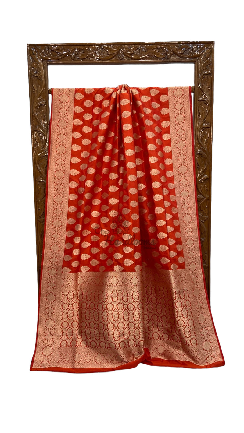 Pure Katan Silk Banarasi Handloom Saree - All Over Jaal Work - The Handlooms
