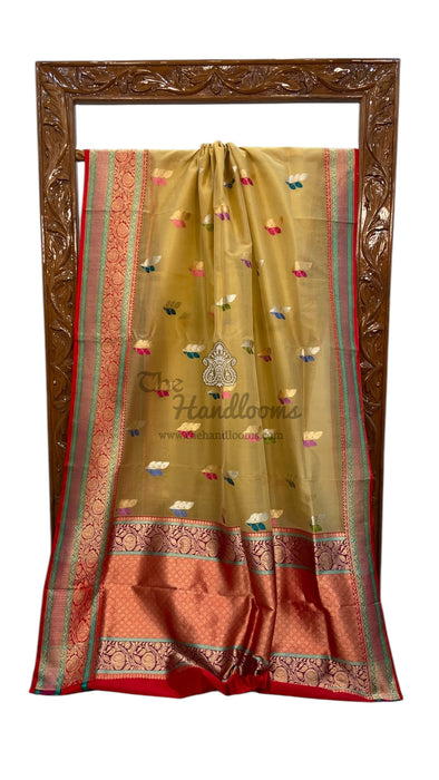 Pure Kora Handloom Banarasi Saree