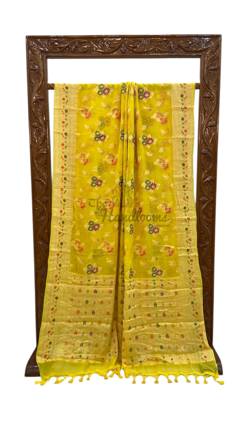 Pure Chiffon Khaddi Banarasi Saree - The Handlooms