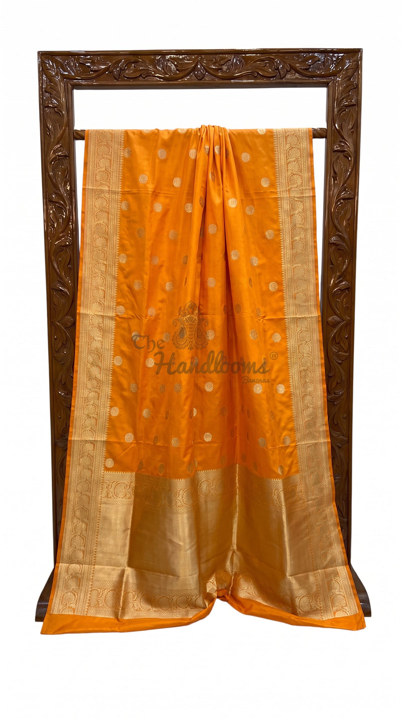 Karishma Kapoor in our Pure Katan Silk Banarasi Handloom Saree - All Over Kadua Motifs