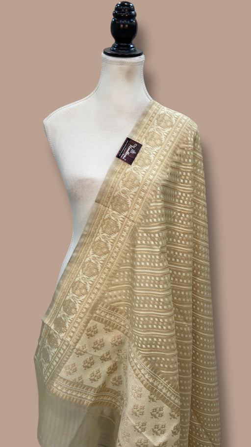 Pure Cotton Banarasi Handloom Dupatta - The Handlooms