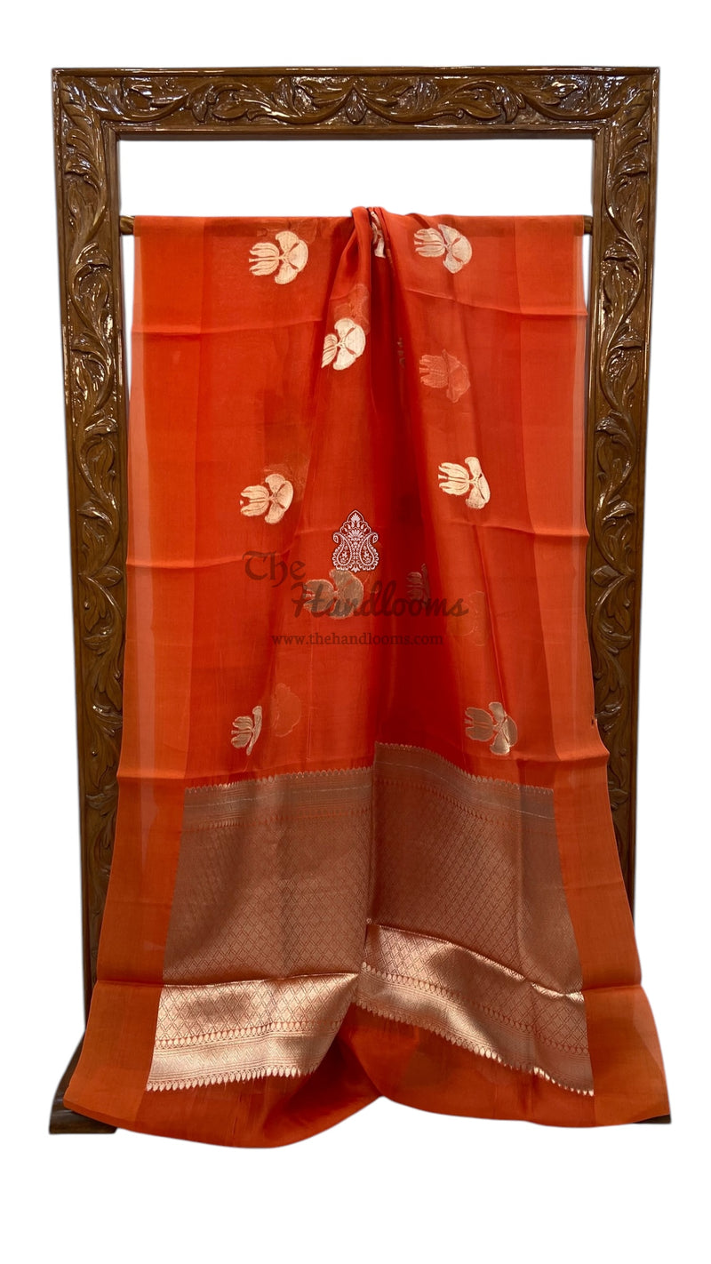 Pure Kora Handloom Banarasi Saree - The Handlooms