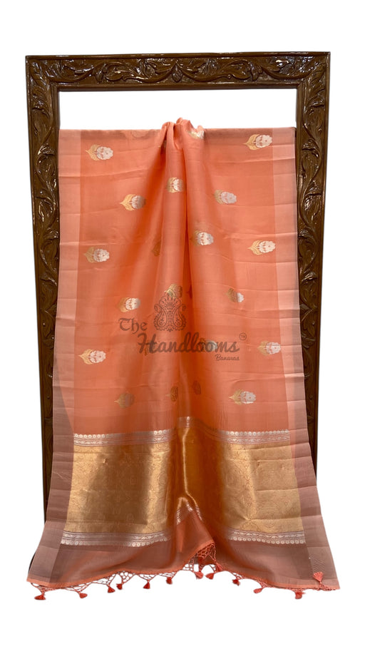 Pure Kora Handloom Banarasi Saree - The Handlooms