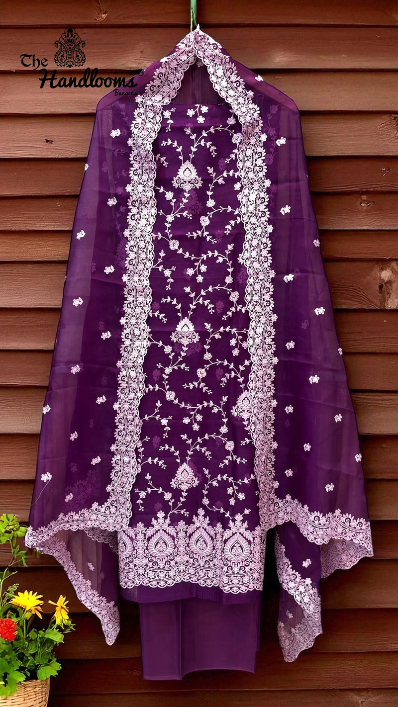 Pure Organza Chikankari Handloom Banarasi Dress - The Handlooms