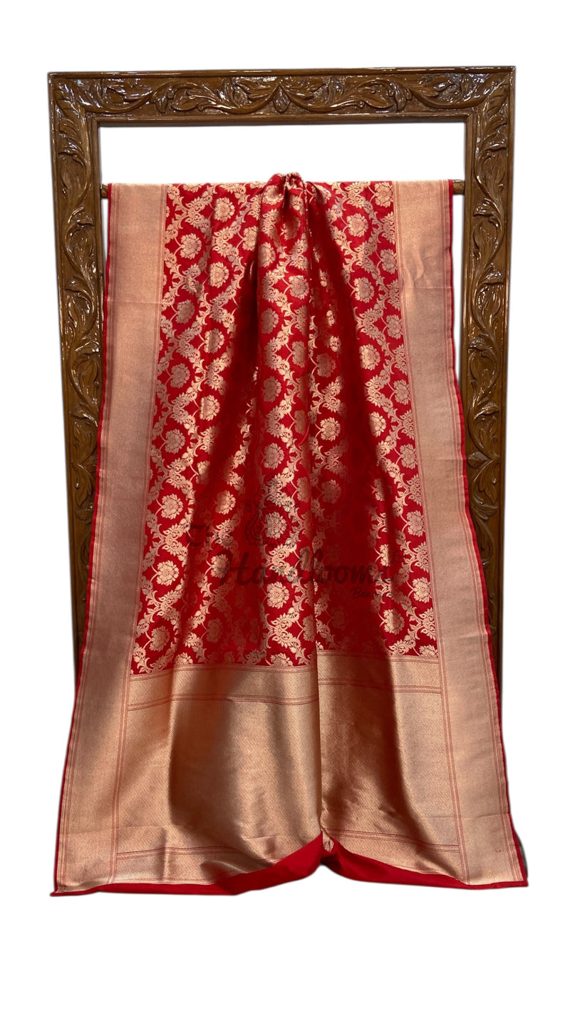 Pure Katan Silk Banarasi Handloom Saree - All Over Jaal Work