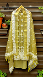 Pure Organza Chikankari Handloom Banarasi Dress - The Handlooms