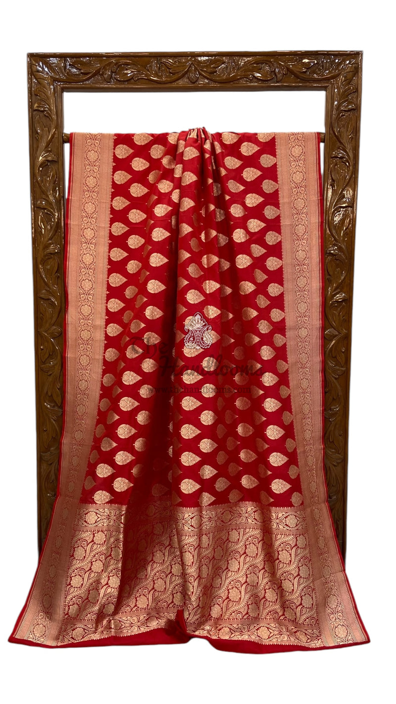Pure Katan Silk Banarasi Handloom Saree - All over Jaal work - The Handlooms