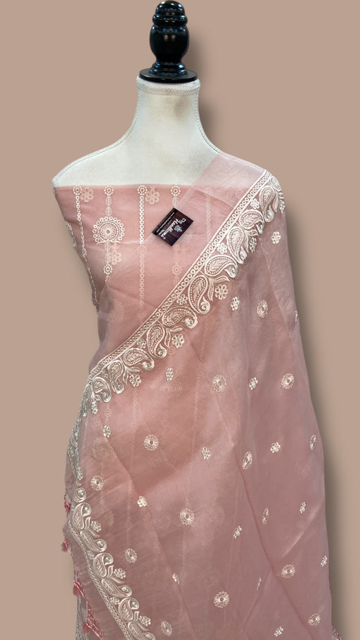Pure Organza Chikankari Handloom Banarasi Dress Material - The Handlooms