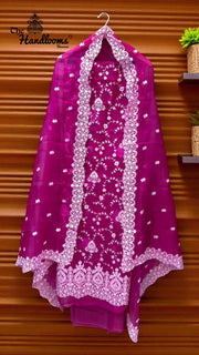 Pure Organza Chikankari Handloom Banarasi Dress - The Handlooms