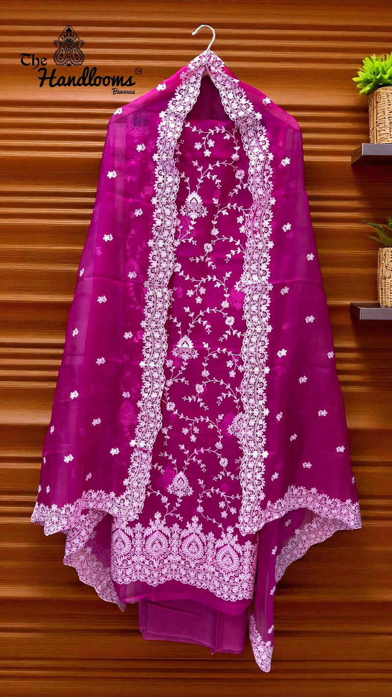 Pure Organza Chikankari Handloom Banarasi Dress - The Handlooms