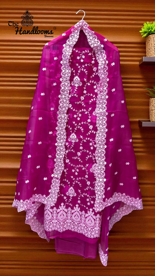 Pure Organza Chikankari Handloom Banarasi Dress - The Handlooms
