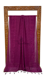 Pure Georgette Chikankari Handloom Banarasi Saree - The Handlooms