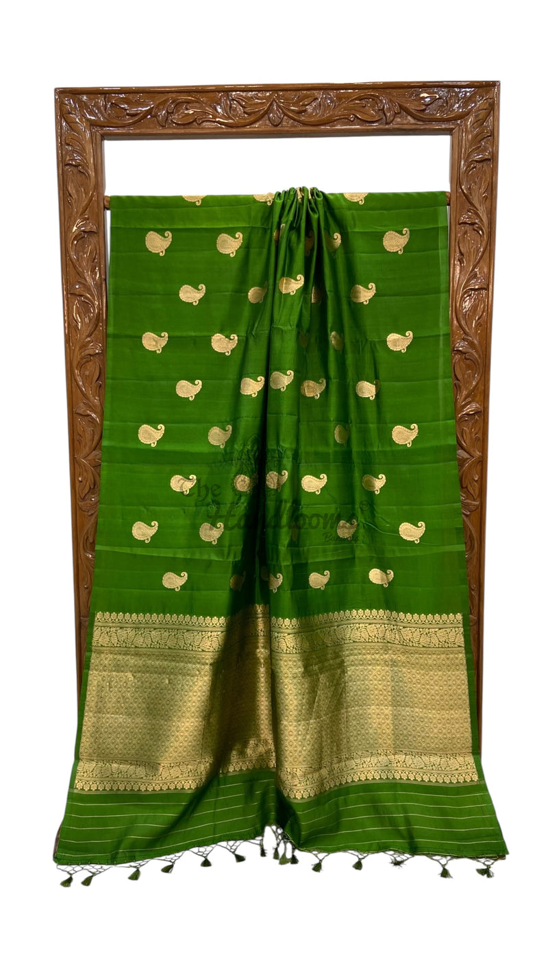 Pure Katan Silk Banarasi Handloom Saree - All over Kadua motifs - The Handlooms