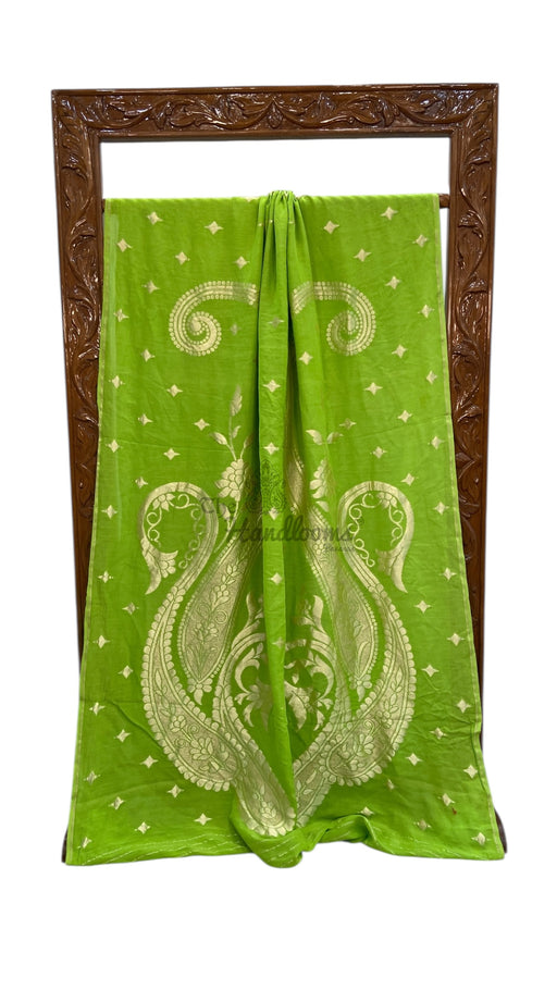 Moonga Georgette Handloom Banarasi Saree - The Handlooms