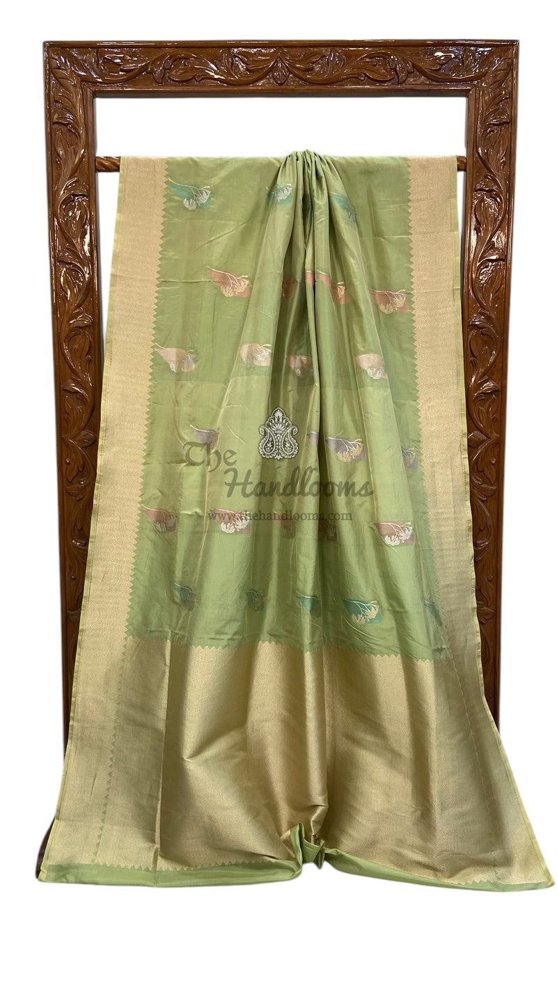 Pure Katan Silk Banarasi Handloom Saree - All over meenakari Kadua Buta - The Handlooms