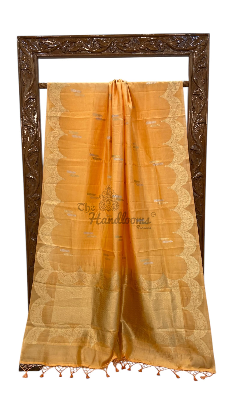Pure Katan Silk Banarasi Handloom Saree - All over Sona Roopa Kadua motifs - The Handlooms