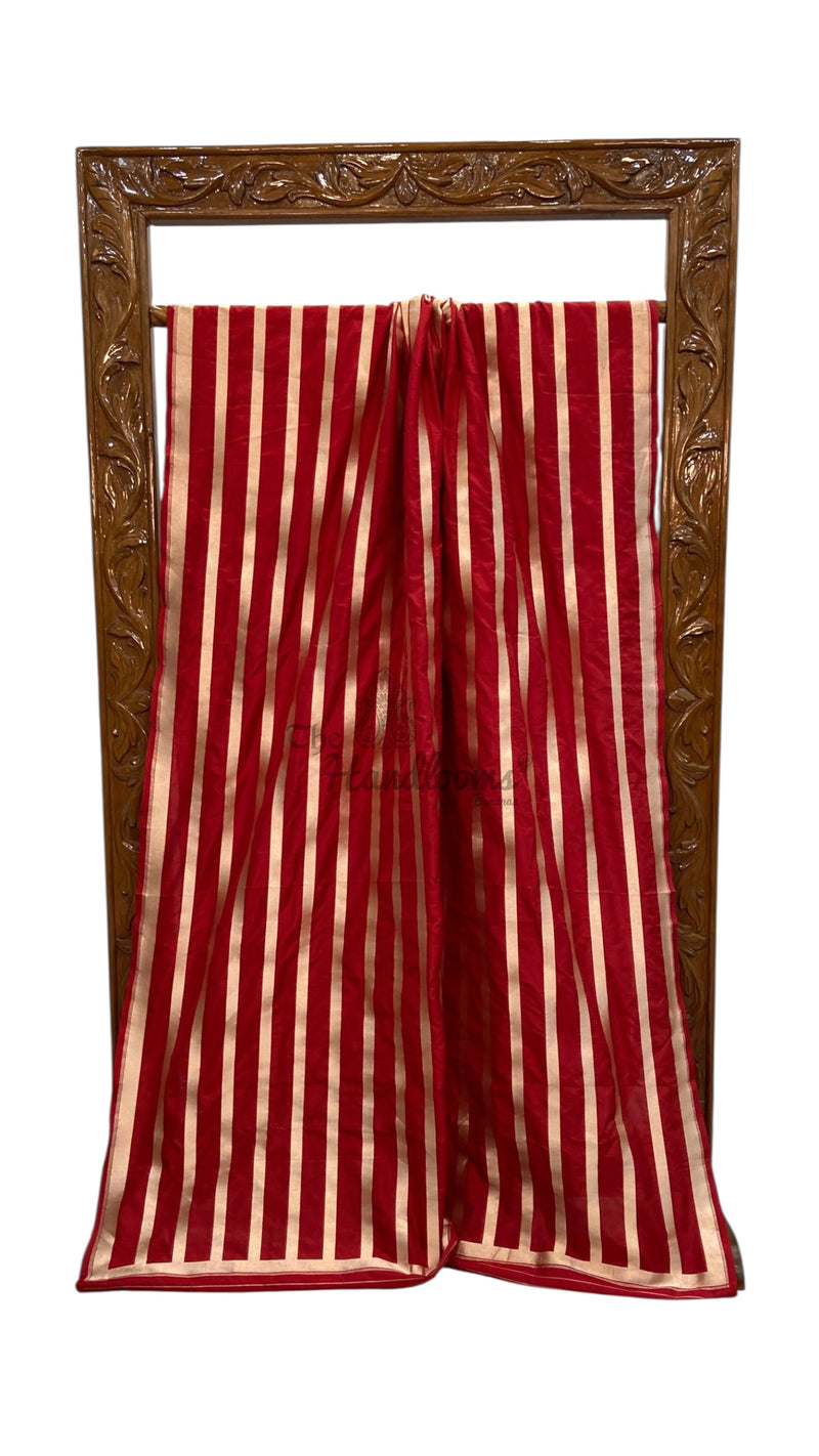 Dia Mirza in Pure Katan Silk Banarasi Handloom Saree - Stripe - The Handlooms