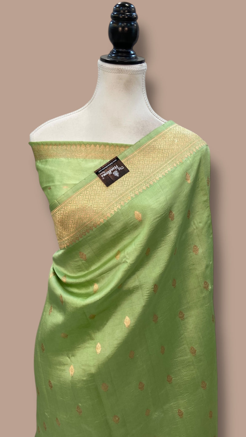 Pure Katan Silk Banarasi Handloom Saree - All over Kadua motifs - The Handlooms