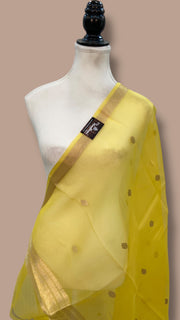 Pure kora Banarasi Handloom Dupatta - The Handlooms