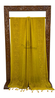 Pure Georgette Chikankari Handloom Banarasi Saree - The Handlooms