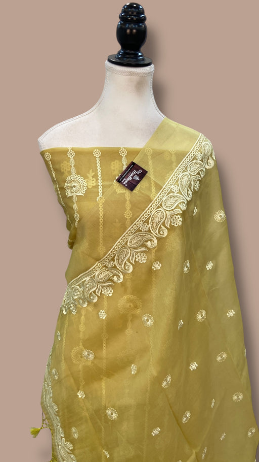 Pure Organza Chikankari Handloom Banarasi Dress Material - The Handlooms