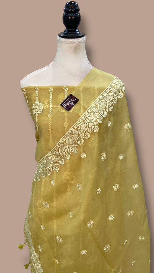 Pure Organza Chikankari Handloom Banarasi Dress Material - The Handlooms