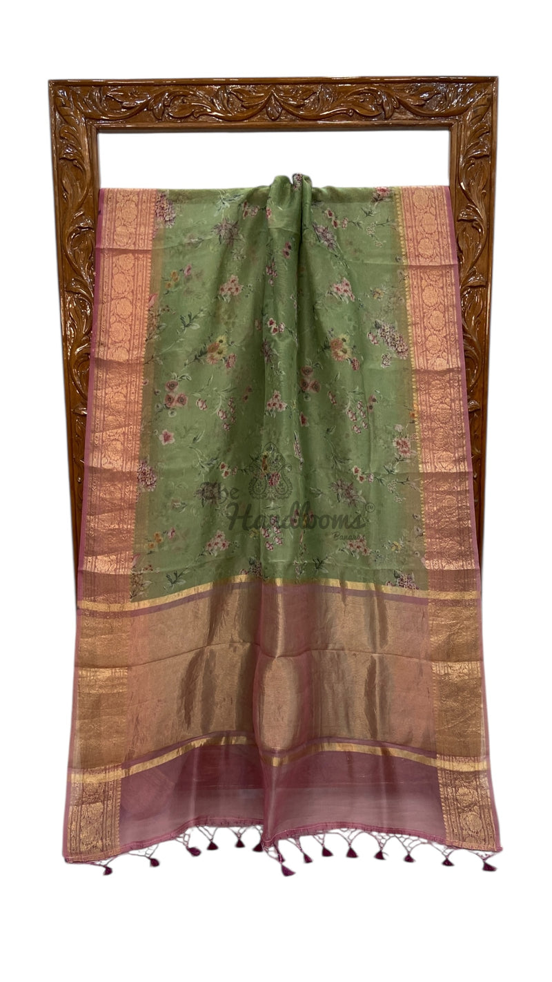 Pure Organza Handloom Banarasi Saree - Digital Print - The Handlooms