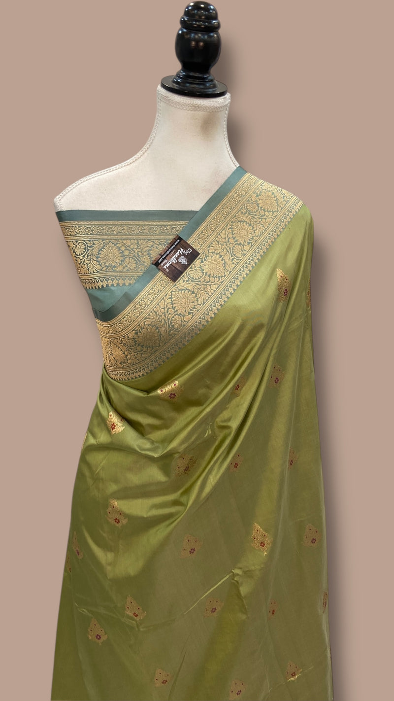 Pure Katan Silk Banarasi Handloom Saree - All Over Kadua Motifs - The Handlooms
