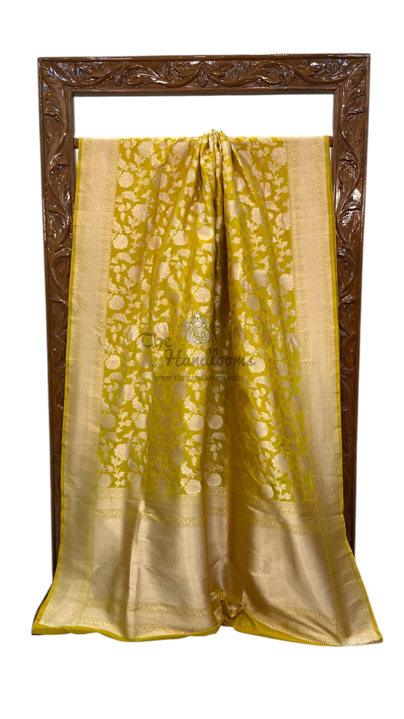 Pure Katan Silk Banarasi Handloom Saree - All over Jaal work - The Handlooms