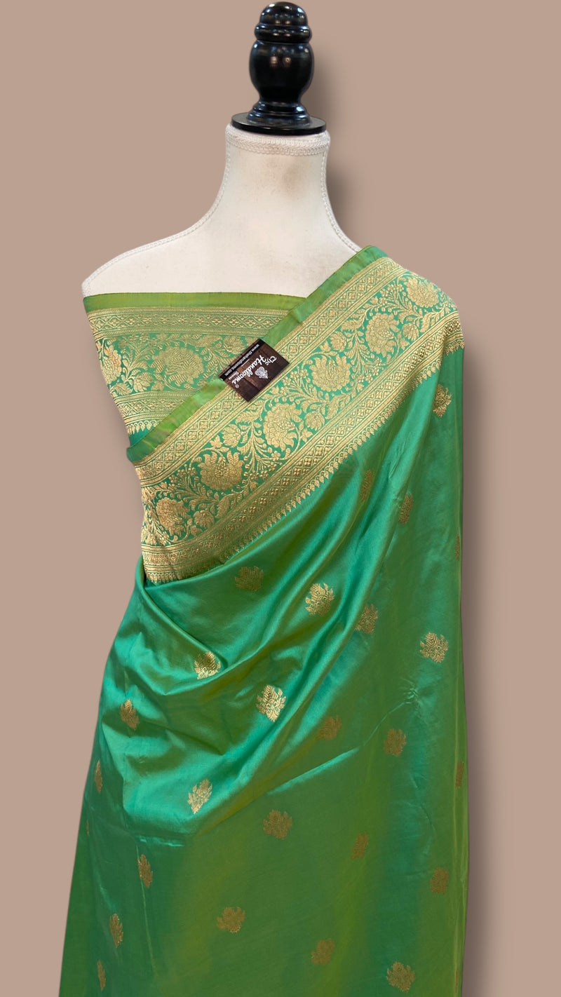 Pure Katan Silk Banarasi Handloom Saree - All over Kadua motifs - The Handlooms