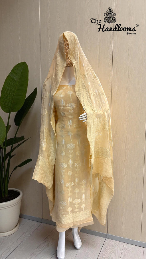 Khaddi Georgette Banarasi Dress material Water and Silver zari - The Handlooms