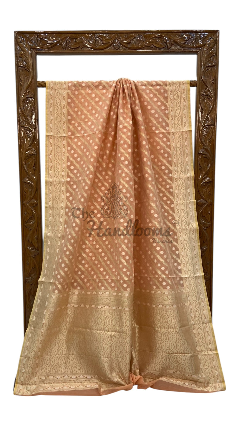 Pure Cotton Tissue Banarasi Handloom Saree - The Handlooms