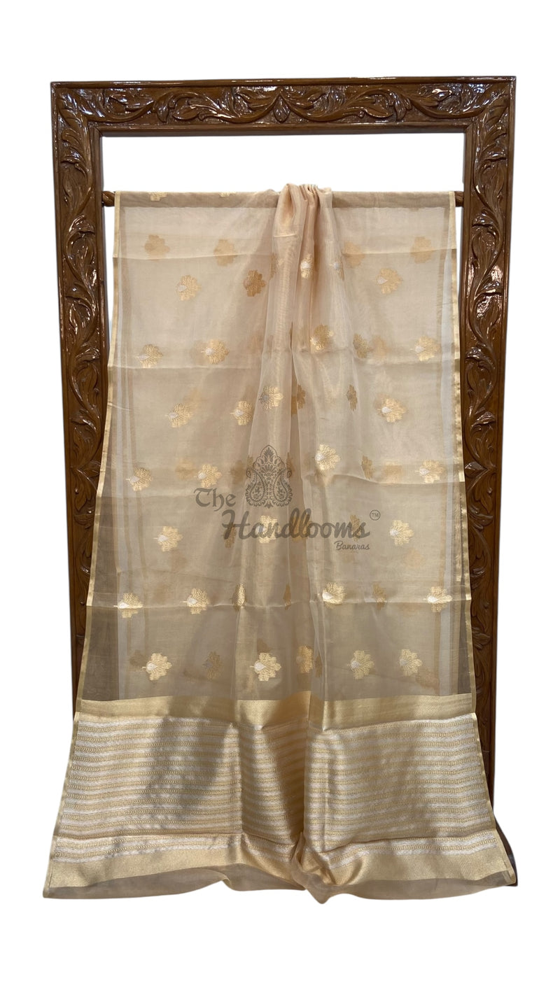 Pure Kora Tissue Handloom Banarasi Saree - The Handlooms