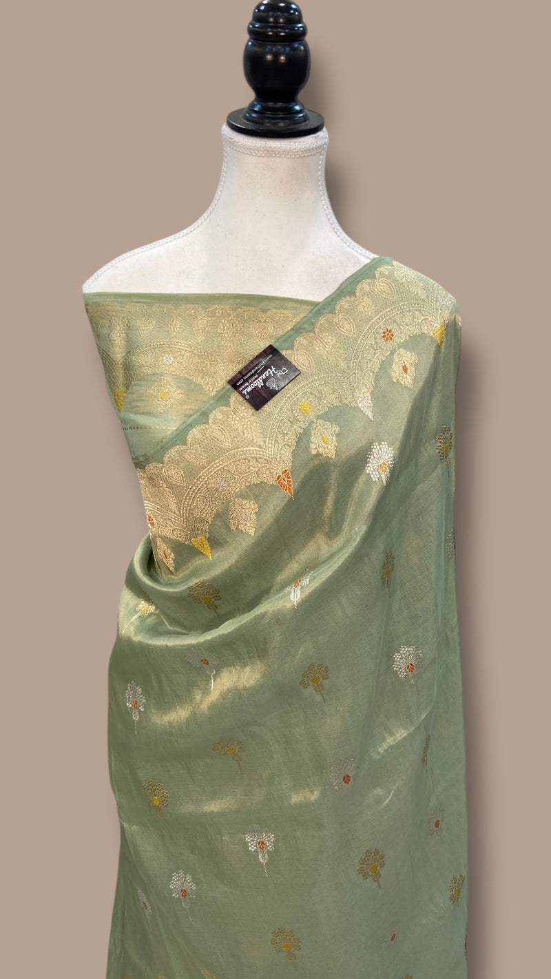 Pure Katan Tissue Silk Handloom Banarasi Saree - All over kadua motifs - The Handlooms
