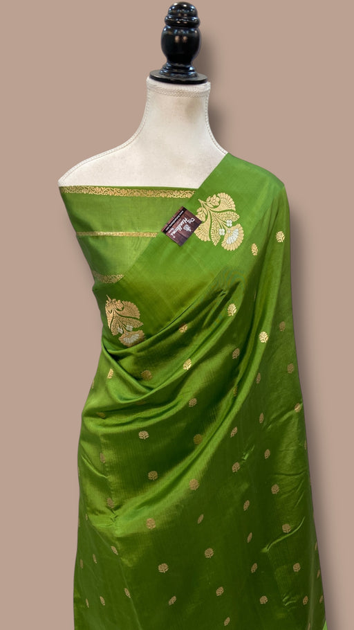 Pure Katan Silk Banarasi Handloom Saree - All over Kadua motifs - The Handlooms
