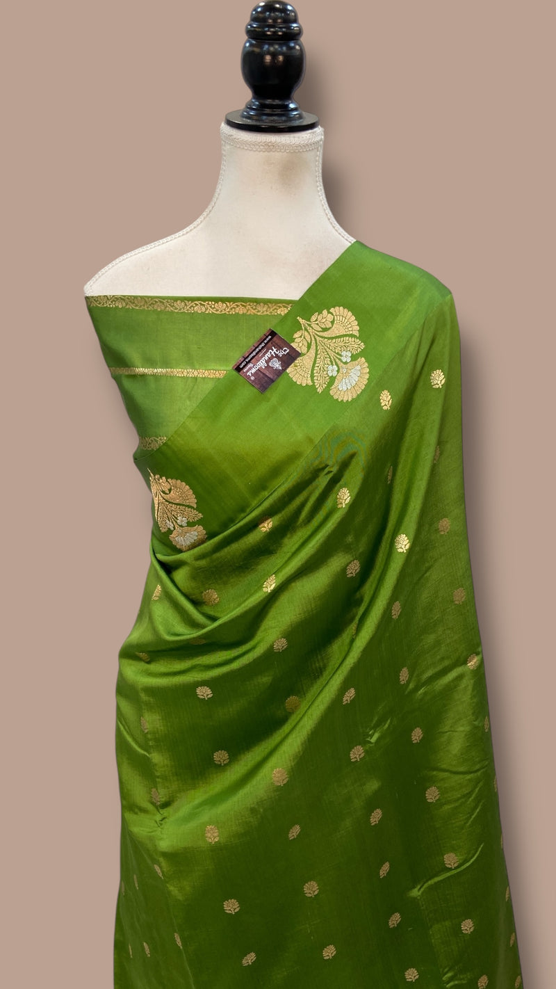 Pure Katan Silk Banarasi Handloom Saree - All over Kadua motifs - The Handlooms
