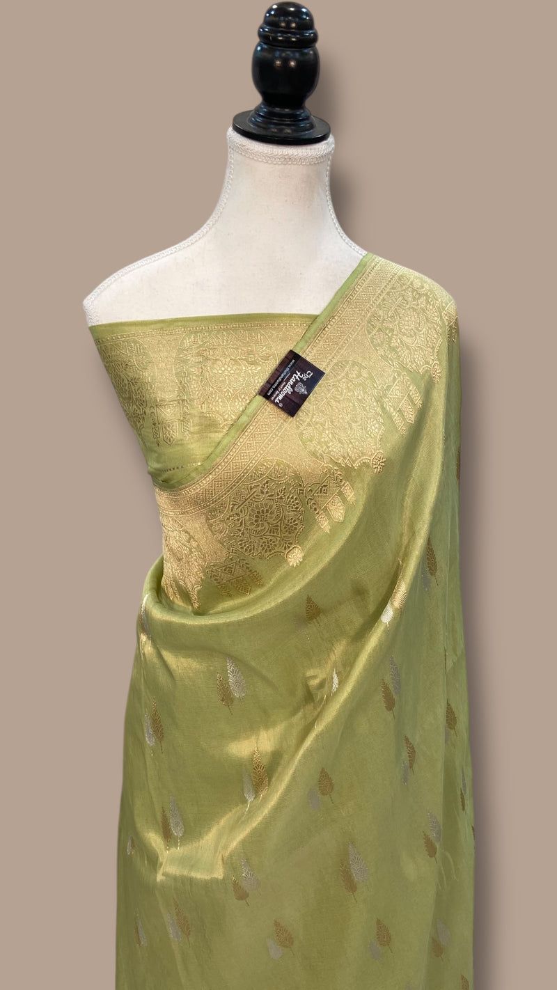 Pure Katan Tissue Silk Handloom Banarasi Saree - All over kadua motifs - The Handlooms