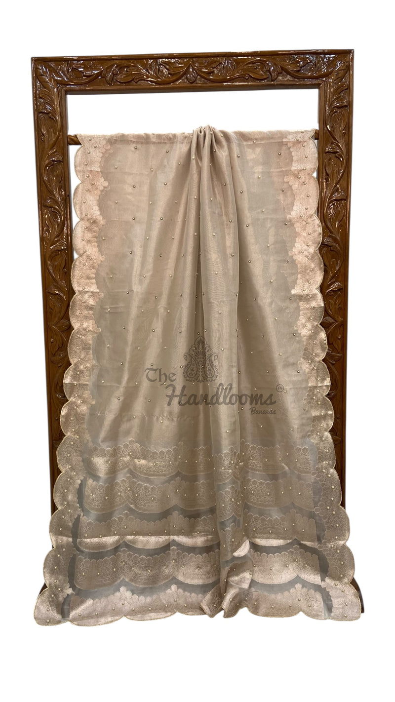 Light Gray Pure Kora Tissue Handloom Banarasi Saree - Handwork - The Handlooms