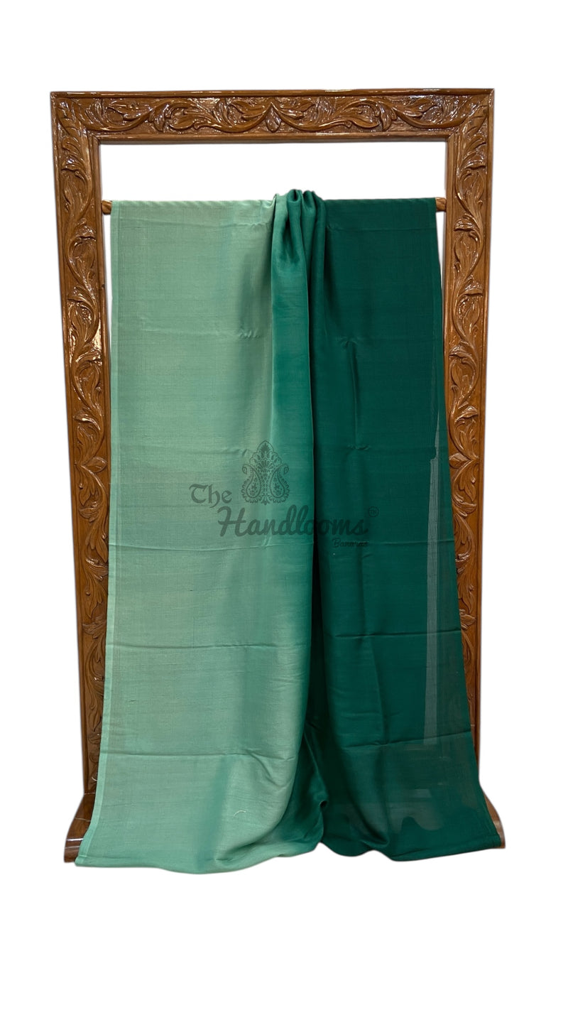 Tussar Georgette Handloom Banarasi Saree - The Handlooms