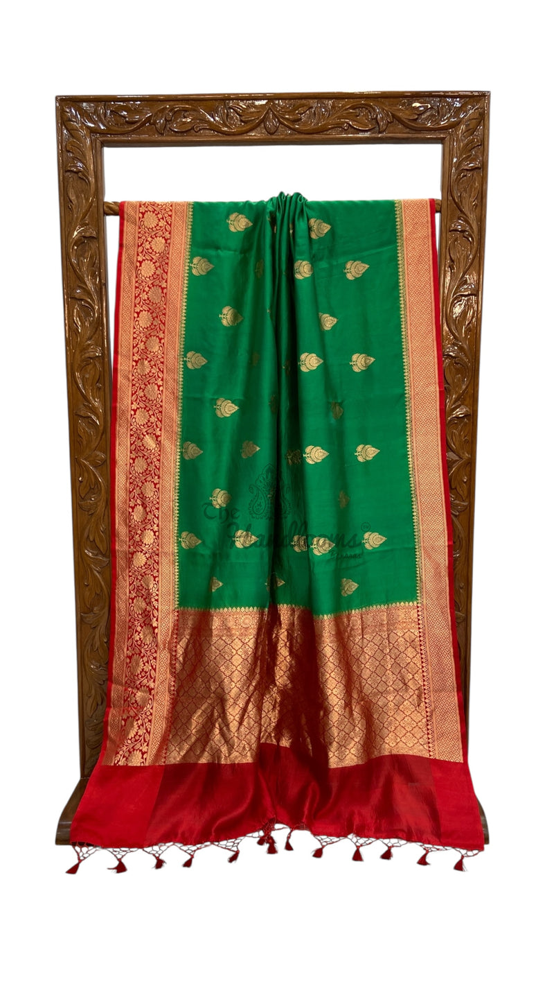 Pure Katan Silk Banarasi Handloom Saree - All over Kadua motifs - The Handlooms