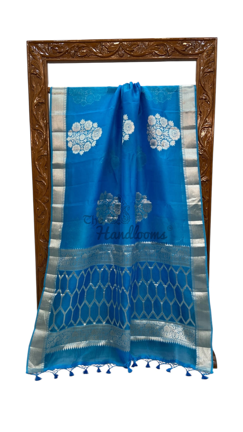Firozi Pure Kora Handloom Banarasi Saree - The Handlooms