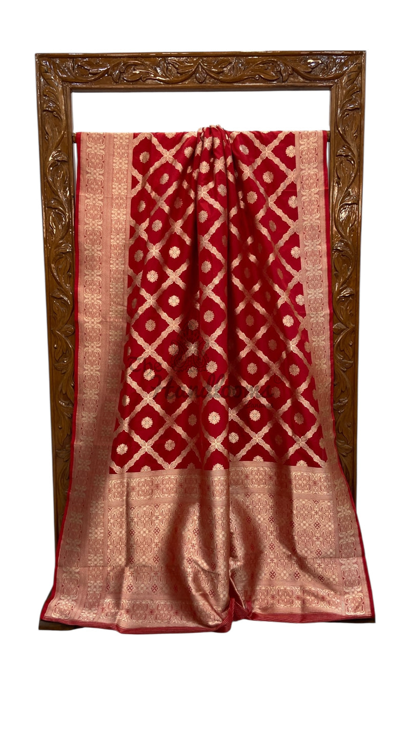 Dia Mirza in Pure Katan Silk Banarasi Handloom Saree - The Handlooms