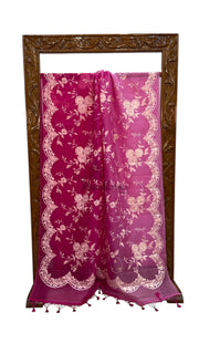Pure Organza Chikankari Handloom Banarasi Saree - The Handlooms