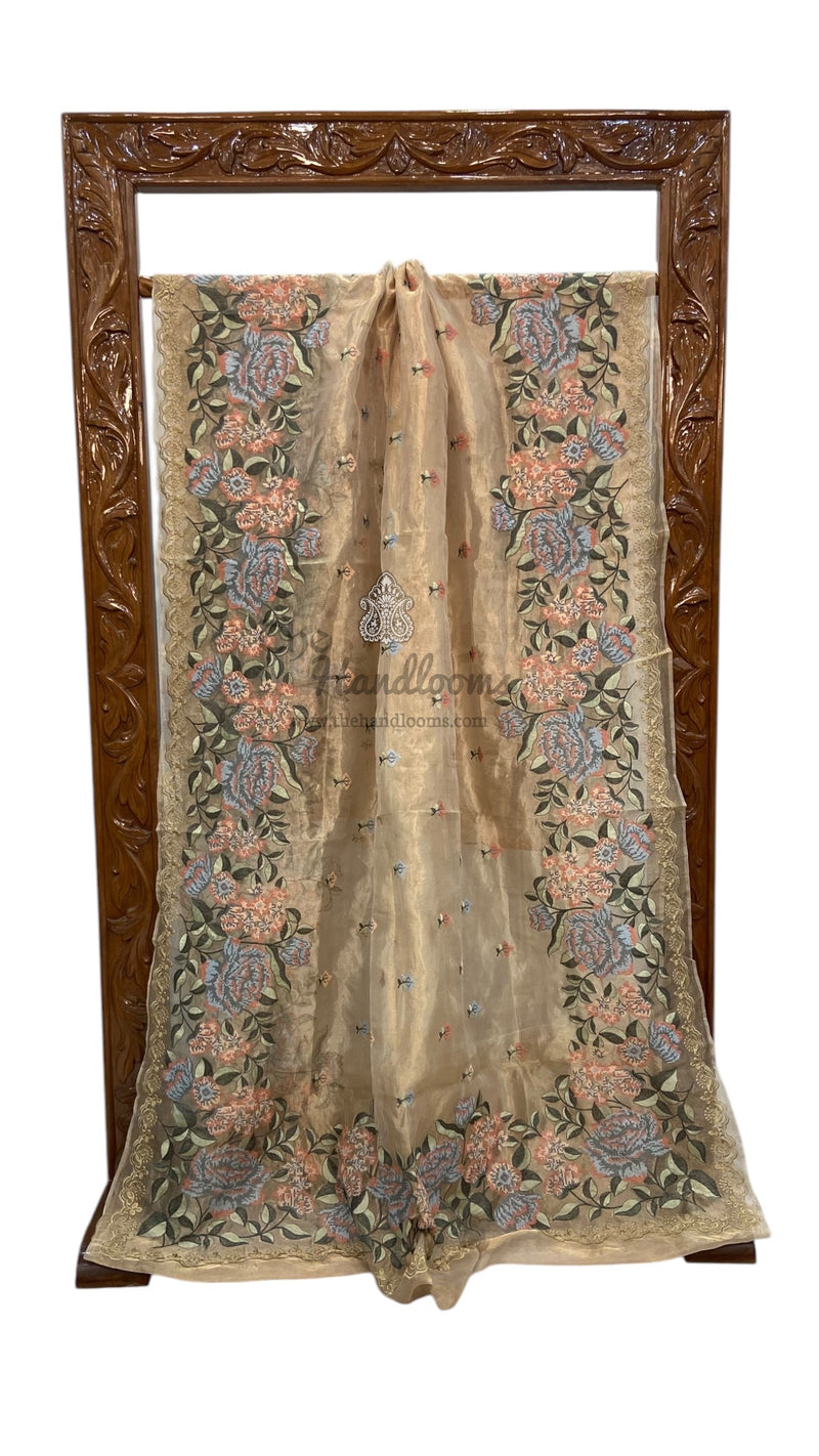 Pure Tissue Handloom Banarasi Saree With Chikankari - The Handlooms