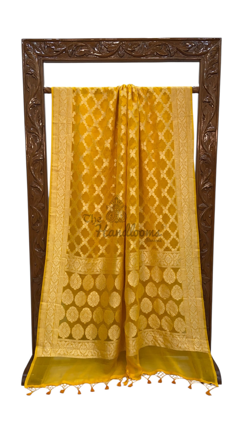 Pure Khaddi Georgette Handloom Banarasi Saree - Gold Zari - The Handlooms