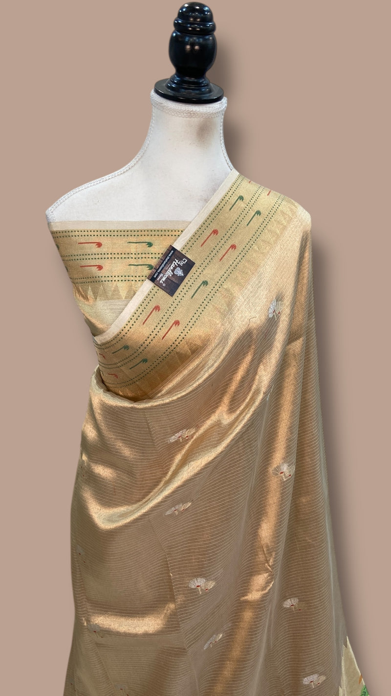 Pure Kora Tissue Handloom Banarasi Saree - Paithani Border - The Handlooms